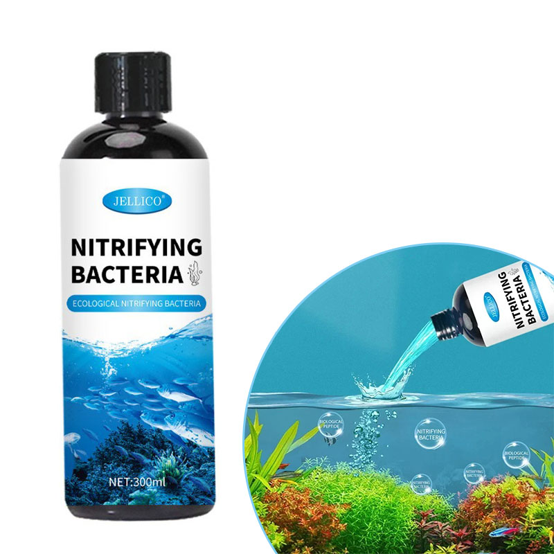 Ocean Aquarium - كمية البكتيريا السائلة خزان الأسماك لتنقية