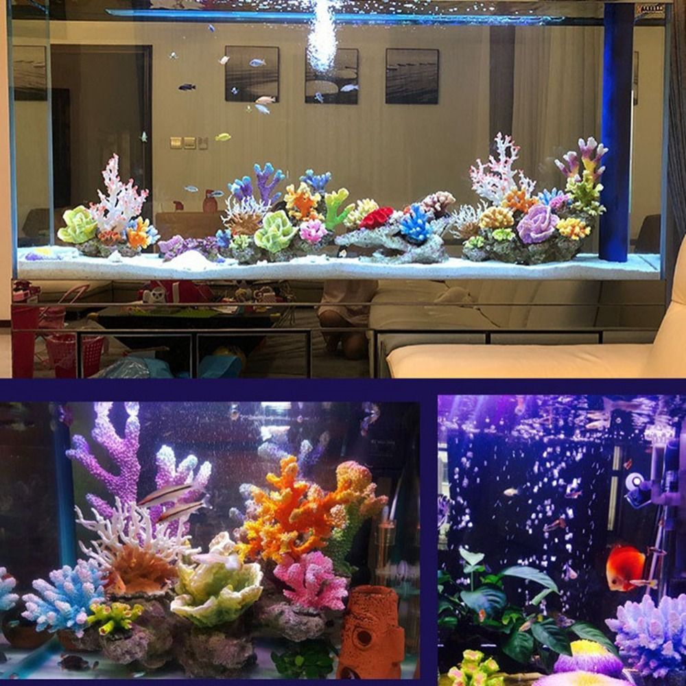 الراتنج المرجان الاصطناعي نموذ - مراجعة Marine Coral وسعره