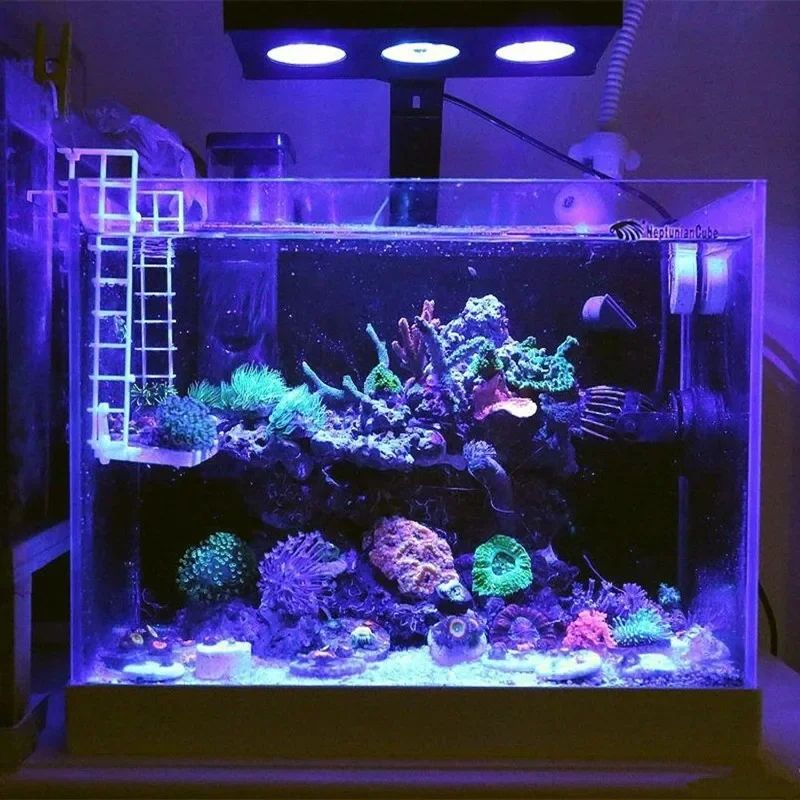 إضاءة حوض السمك سبكترا نانو 02 - مراجعة Reef Lighting وسعره