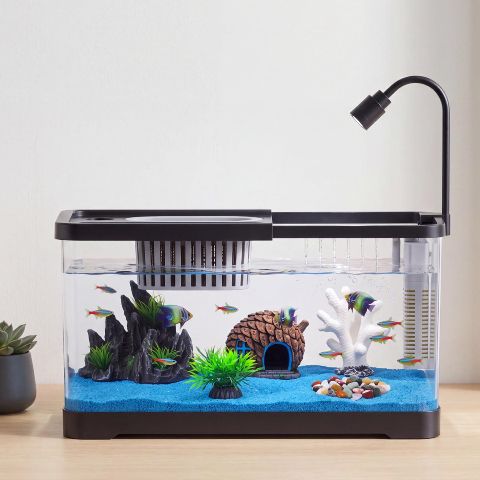 مجموعة بدء تربية الأسماك مع فل - مراجعة Reef Tank Filter وسعره