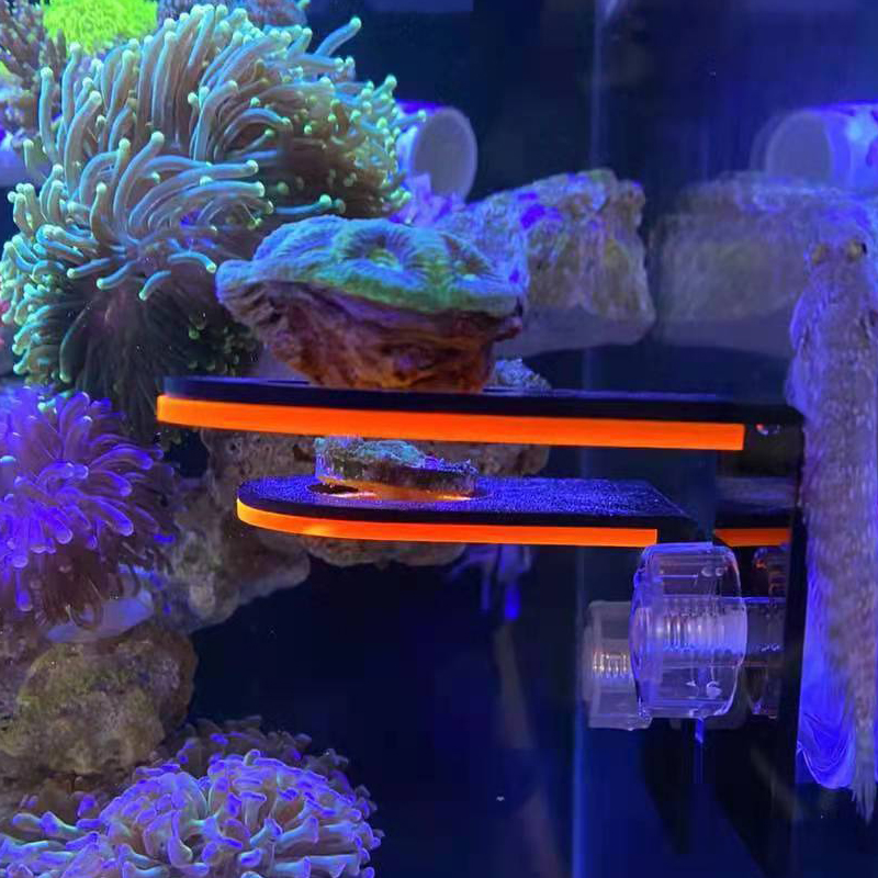 حامل أكريليك فلورسنت لنمو المر - مراجعة Marine Coral وسعره