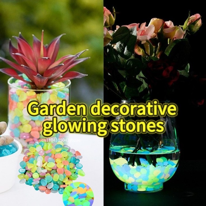 100-1000 قطعة حجر مضيء حديقة خ - مراجعة Marine Fish Tank وسعره