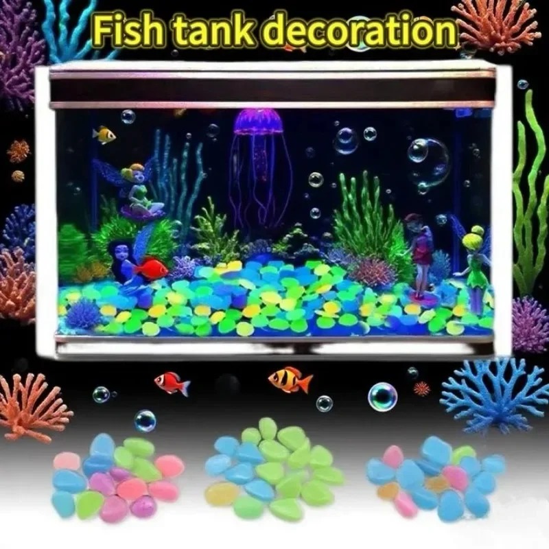100-1000 قطعة حجر مضيء حديقة خ - مراجعة Marine Fish Tank وسعره
